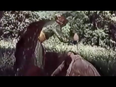 მეუფე ნიკოლოზი - 162. წმ. ევფრასია