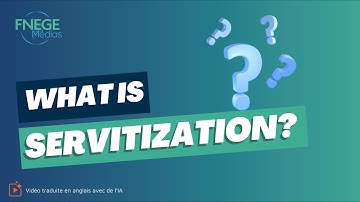Wat is servitization?