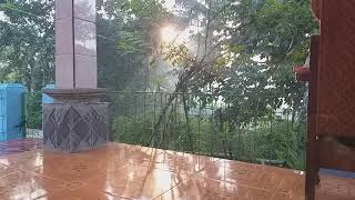 Hangatnya mentari pagi
