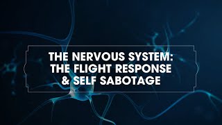 The Nervous System: The Flight Response & Self Sabotage