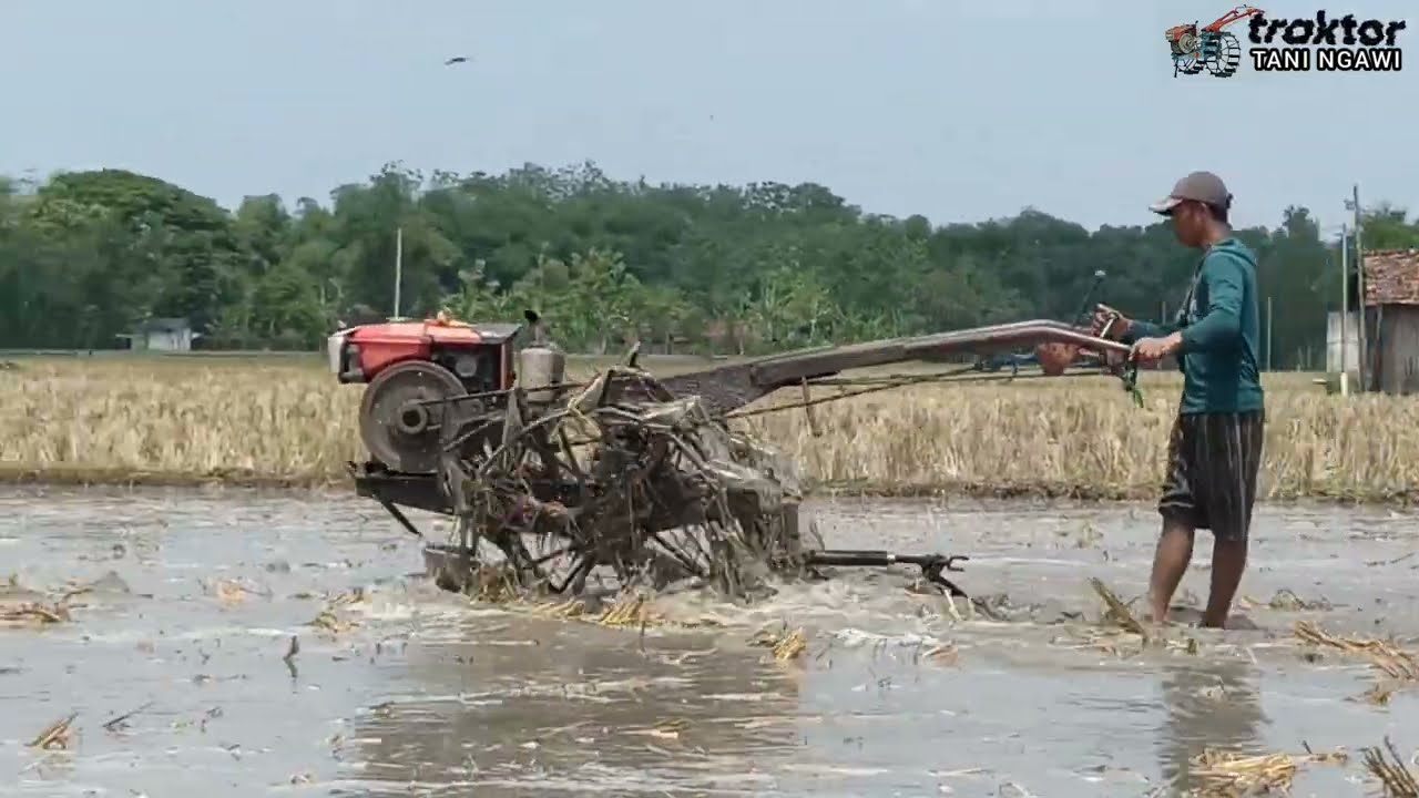 WATER OVERFLOW !!! Paddy field tractor jockey plowing the fields a lot