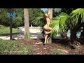 Red Sling Shot Britney Modeling from Hot Tropic 4k