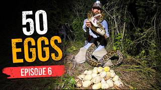 We Found 50 Python Eggs Hidden Under a 13-Foot Python | Saving the Glades Ep.6