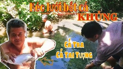 Về Quê Kéo Lưới Bắt Cá Tra Cá Tai Tượng Khủng Ở Miền Tây - Hoài Linh Vlog