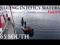 ⛵ SAILING INTO ICY WATERS - AN ANTARCTIC WILDLIFE EXPERIENCE ON PELAGIC AUSTRALIS - FEB 2020