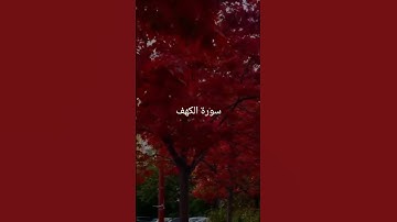 سورة الكهف #اكسبلور #القران #لايك