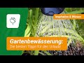 5 Tipps für die Gartenbewässerung im Urlaub