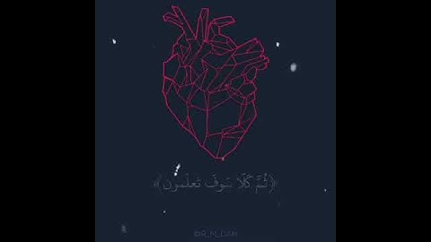 الهاكم التكاثر تلاوه رائعة