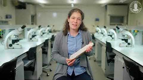 FluidMICS with Prof. Nele Meckler