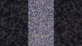 Strange Reports : Case File 052421342026 : The television at 2:13.