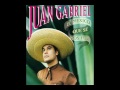 Lo mejor de Juan Gabriel Mix