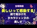 【宝塚歌劇】美しい×上品は人に感動を与えますね