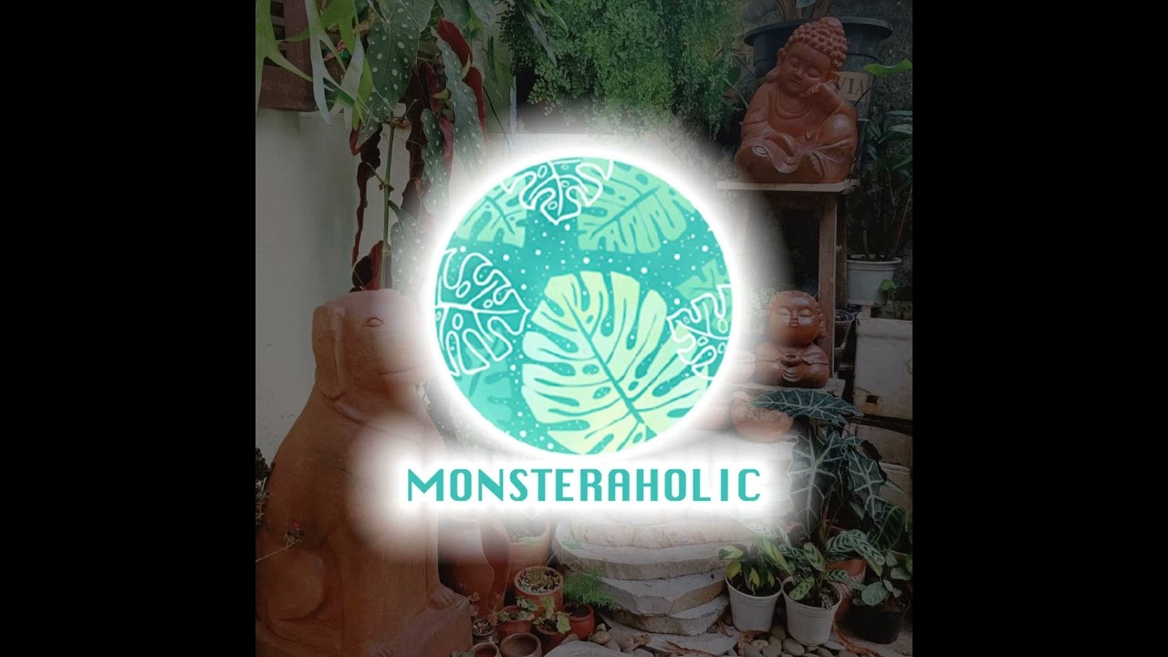 160 Species in Genus Opuntia – Prickly Pear