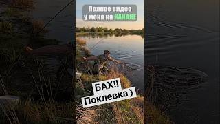 Ловля ЖЕРЕХА БЕЗ ОПЫТА #рыбалка #блесна #жерех #спиннинг #2025 #fishing #щука #голавль #рыбалка2025