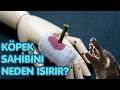 Köpekler Sahibini Neden Isırır? Sahibini Isıran Köpek Nasıl Eğitilir? Ne Zaman Eğitilmeli?
