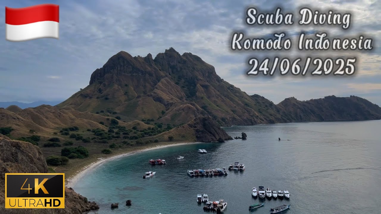 4K Scuba Diving Komodo Indonesia | Into The Worlds Coral Triangle!