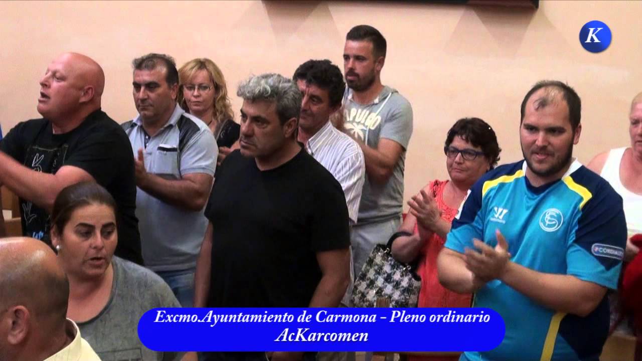 Ayuntamiento de Carmona Turno Urgente Guadajoz Pleno 29 Septiembre 2015 ordenanzas de alfaro