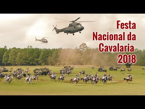 Festa da Cavalaria: está chegando a hora - Litoralmania ®