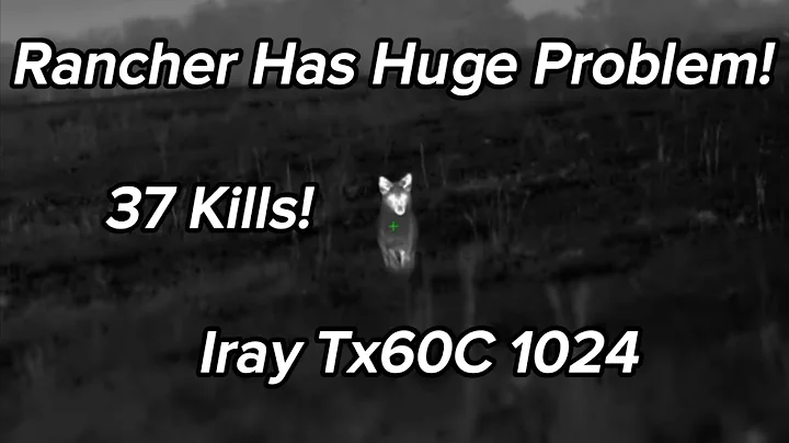 Rancher Has Huge Coyote Problem! 37 Suppressed Kills using iRAY TX60C 1024 Thermal Scope!