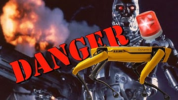 DANGER 🚨 The $75,000 Robot Dog Spot