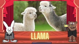 Classical Baby: Llamas by Oxbridge Baby