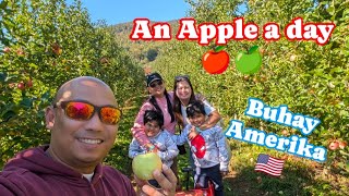 Apple and pumpkin farm experience trip sa Chiles Orchard VA