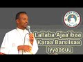 Lallaba Kana Dhaggeeffadhaa Hiriyoota Keessaniif Qoodaa Ortodoksiin Karaa Sirriidha Subscribe Godhaa