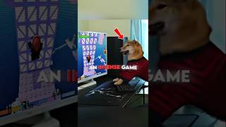 The Dog Who Loves To Play Computer Games 😂🐶 #shorts