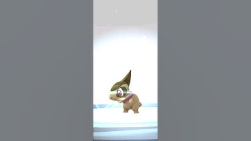 Lucky Shiny Community Day AXEW Evolution PokemonGo