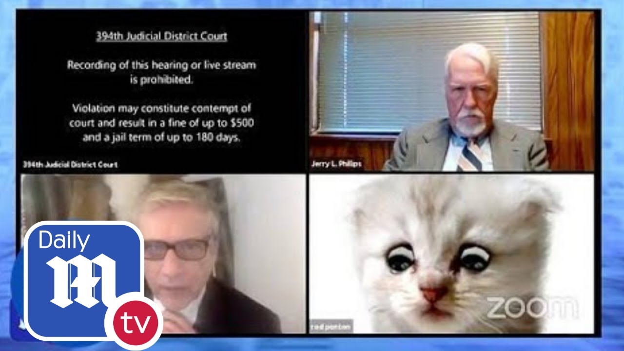 'I'm not a cat' Hilarious moment Texan lawyer uses cat filter on zoom