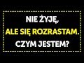 32 trudne zagadki, które potwierdzą waszą inteligencję