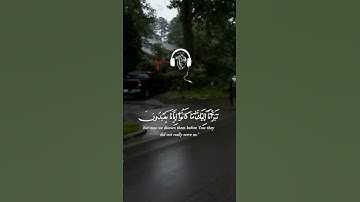 الشيخ ياسر الدوسري سورة القصص