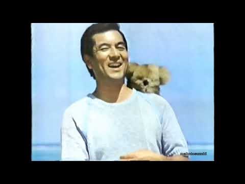 1983 National Air Conditioner Ad Japan 