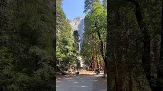 Fingerboarding at Yosemite Falls! #fingerboard #techdeck #travel #fingerboardtricks #shorts #forest
