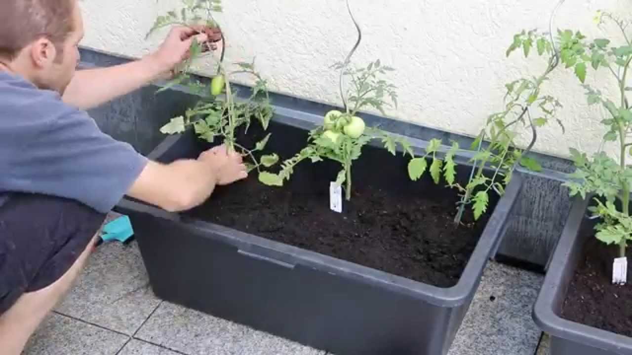 Tomatenkubel Einfach Und Gunstig Selbst Bauen Youtube