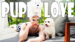 STAYCATION + DOGGIE PHOTOSHOOT with my puppy HARLEM!