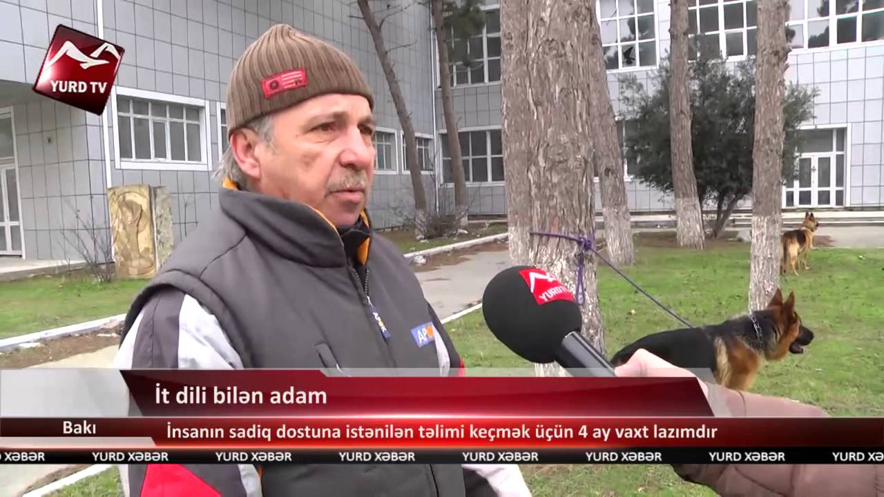 İt dili bilən adam