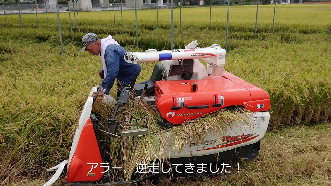 2019 10 17 末永稲刈り作業