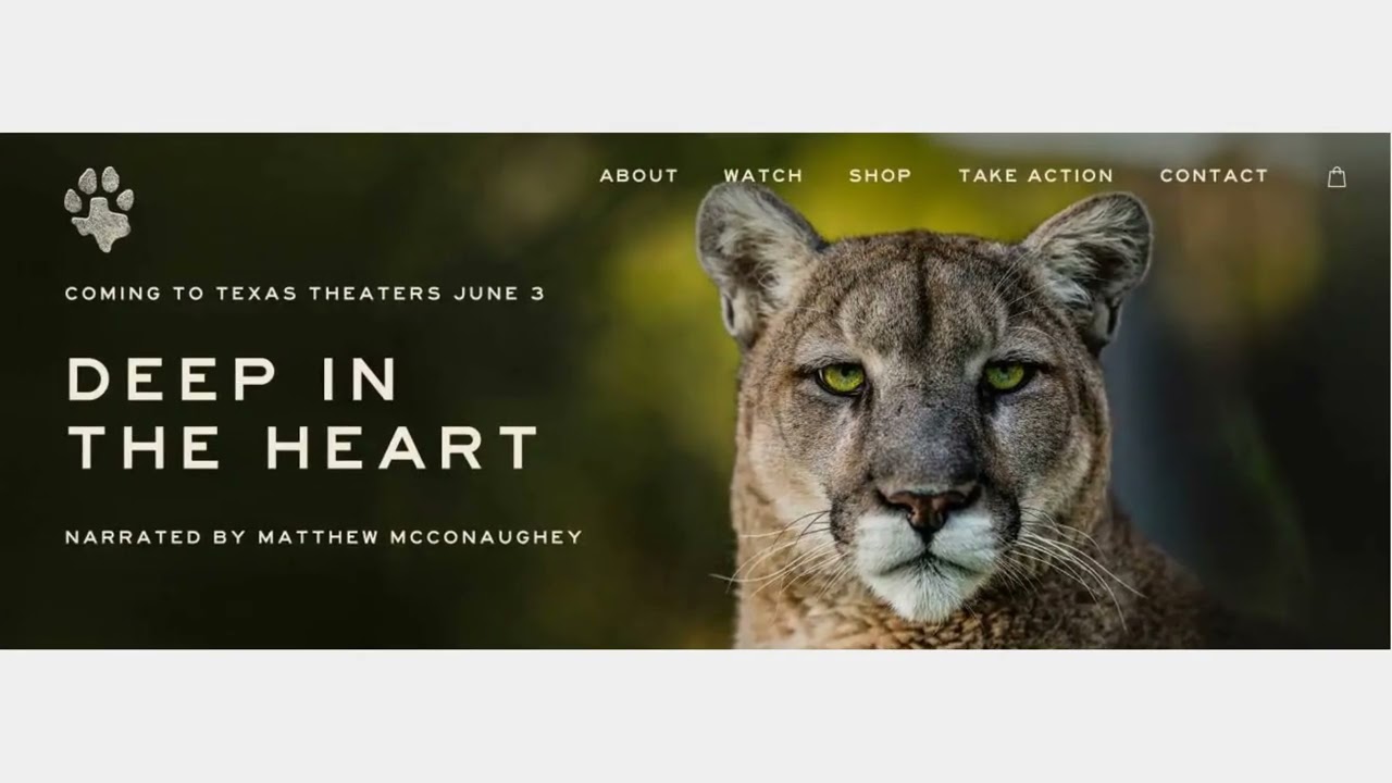 Web Loft Designs : Web Design Company in Dallas | 75225