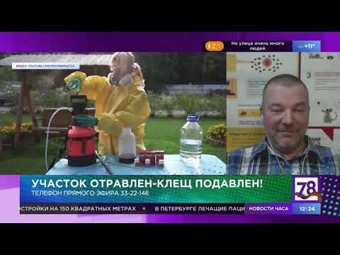 Семейная программа. Эфир от 8.05.20