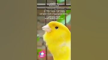 يا ايها الذين آمنوا اتقوا الله وقولوا قولا سديدا | سورة الأحزاب #دعاء_ورسالة Surah Al-Ahzab