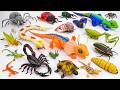 128 Minutes ZURU Robo Alive Insects ASMR 🦎 Lizard, Cobra Snake, Scopion, Turtle, Worm
