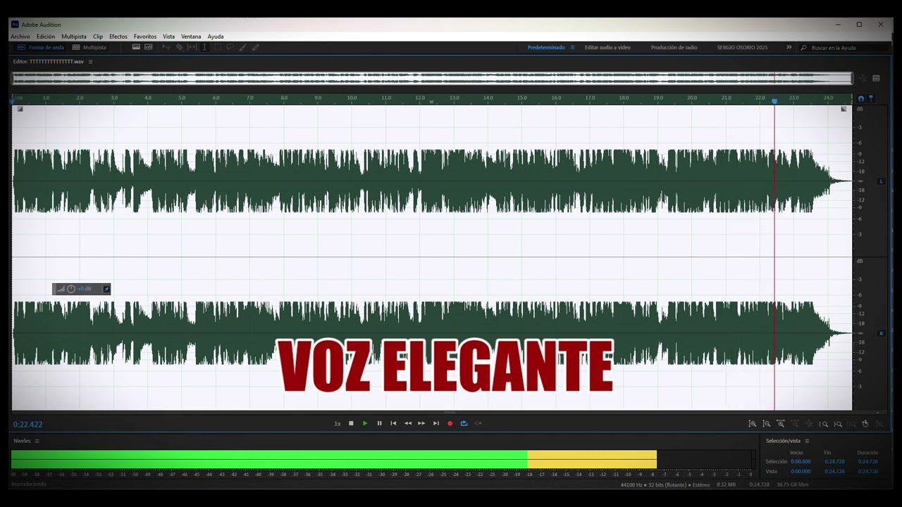 Locutor Profesional | Spot Institucional y Elegante