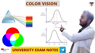 Color Vision Special Sense Physiology