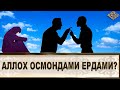 МУСЛИМАЛАРГА ТАЖОВУЗ БЎЛАЁТГАНДА СЕНИ МУОММОЙИНГНИ ҚАРА АЛЛОХ ОСМОНДАМИ... (УСТОЗ МАҲМУД АБДУЛМЎМИН)