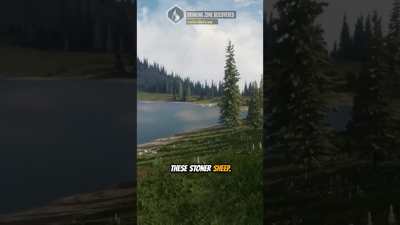 A Full Minute of 420k Memes 😂😂💨 