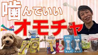 子犬の甘噛み対策 噛んでいいおもちゃについて。噛みたい欲求を満たすためのおもちゃやおやつをご紹介します。