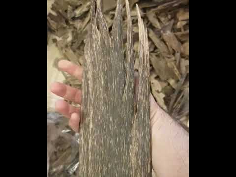 عود ترات دبل سوبر