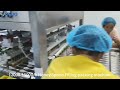 15000/h Honey Spoon Filling Packing Machine