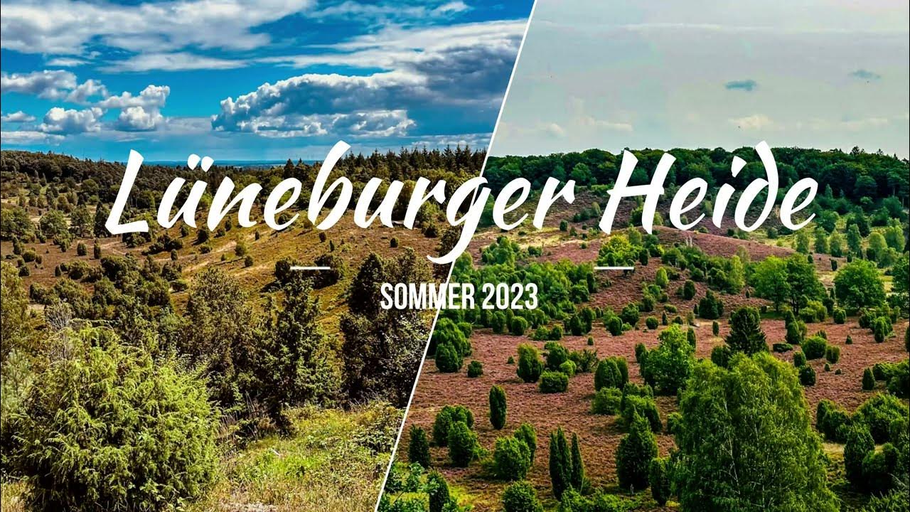 リューネブルガーハイデの絶景ポイント 北ドイツ エリカ街道 YouTube